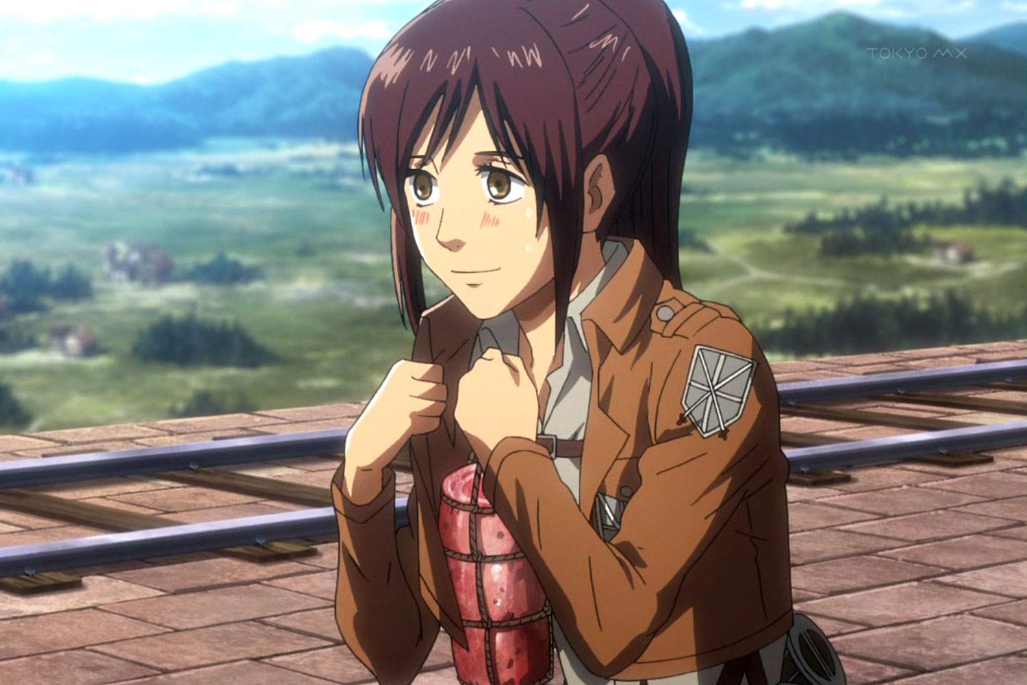 david heinold add attack on titan girls photo