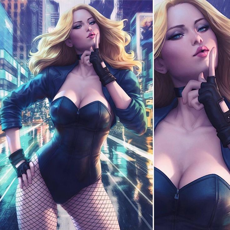 anne quirion recommends black canary sexy pic