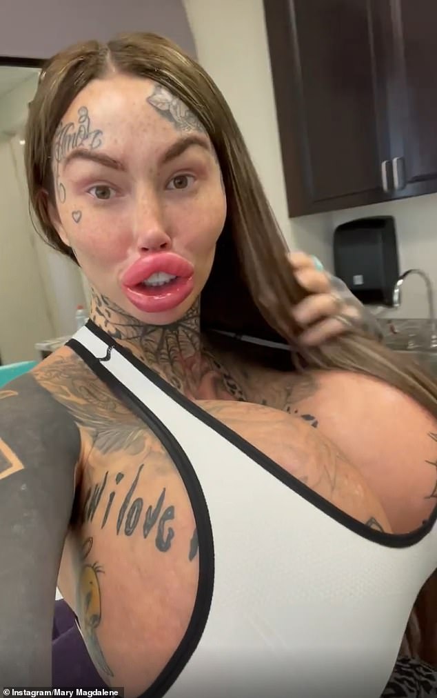 Porn Star Fake Tits Big Lips curtis xxx