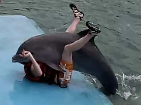Best of Fucking a dolphin