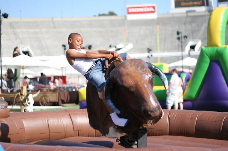 andre hurley recommends mechanical bull riding videos pic
