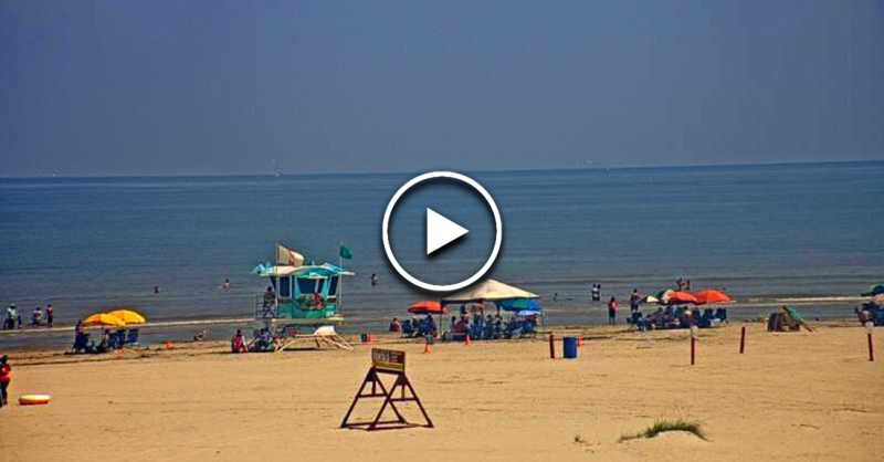 bing agatep recommends topless beach web cam pic