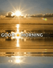 barry buxton recommends Good Morning Sunrise Gif
