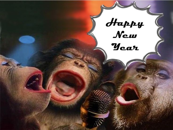 addie pugh recommends funny happy new year 2017 memes pic