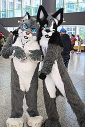 dawn ede share pictures of furries photos