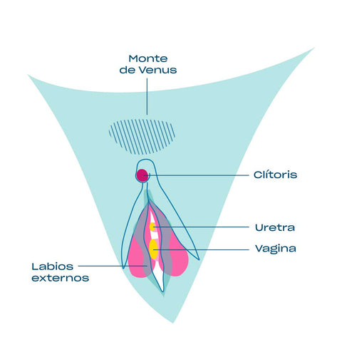 denis contant recommends como masturbar el clitoris pic