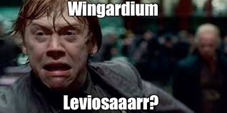 cortney winter recommends Wingardium Leviosa Meme