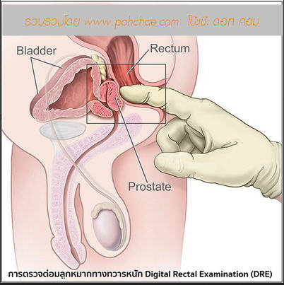 Inside A Girls Anus pussy juice