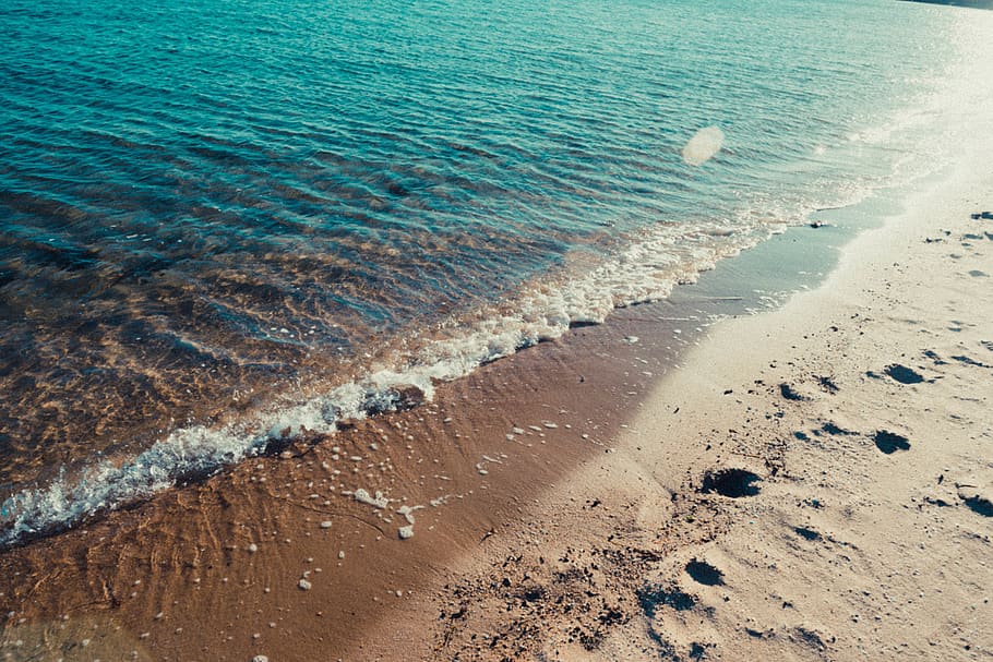 andrew topham recommends Beach Lesbians Tumblr