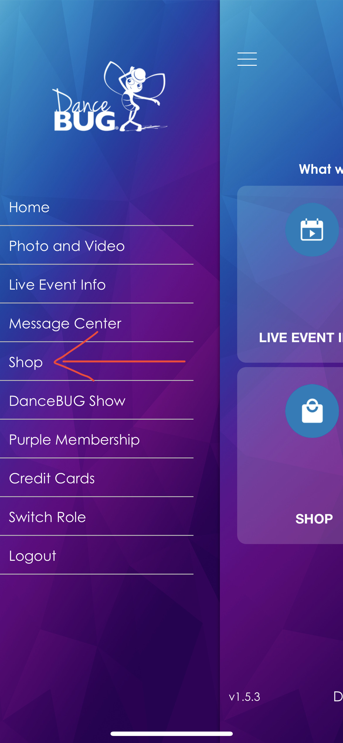 how to download videos from dancebug