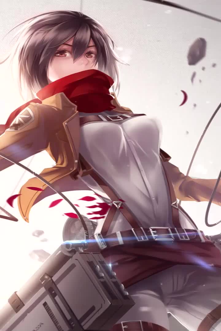 david trifone recommends cute mikasa wallpaper pic