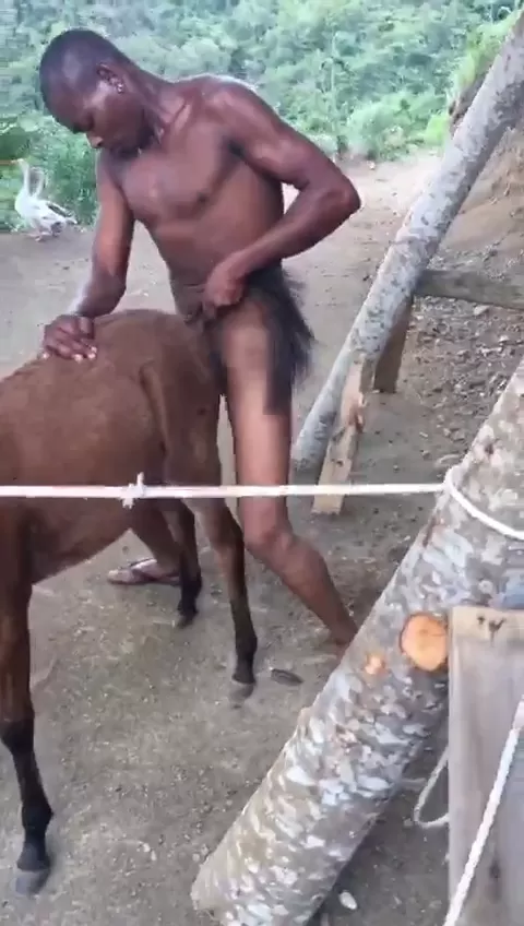 dalibor rajic recommends guy fucking a donkey pic