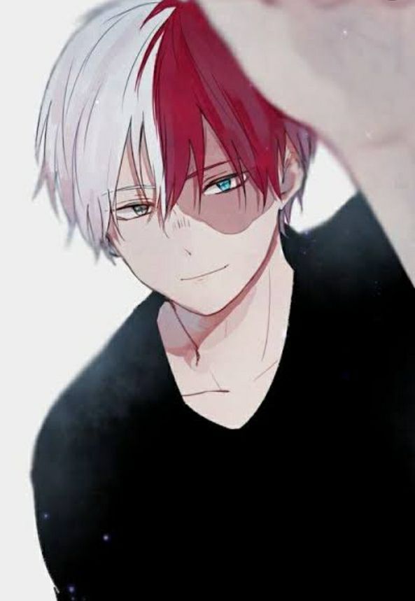 claudia schroeder recommends hot pictures of shoto todoroki pic