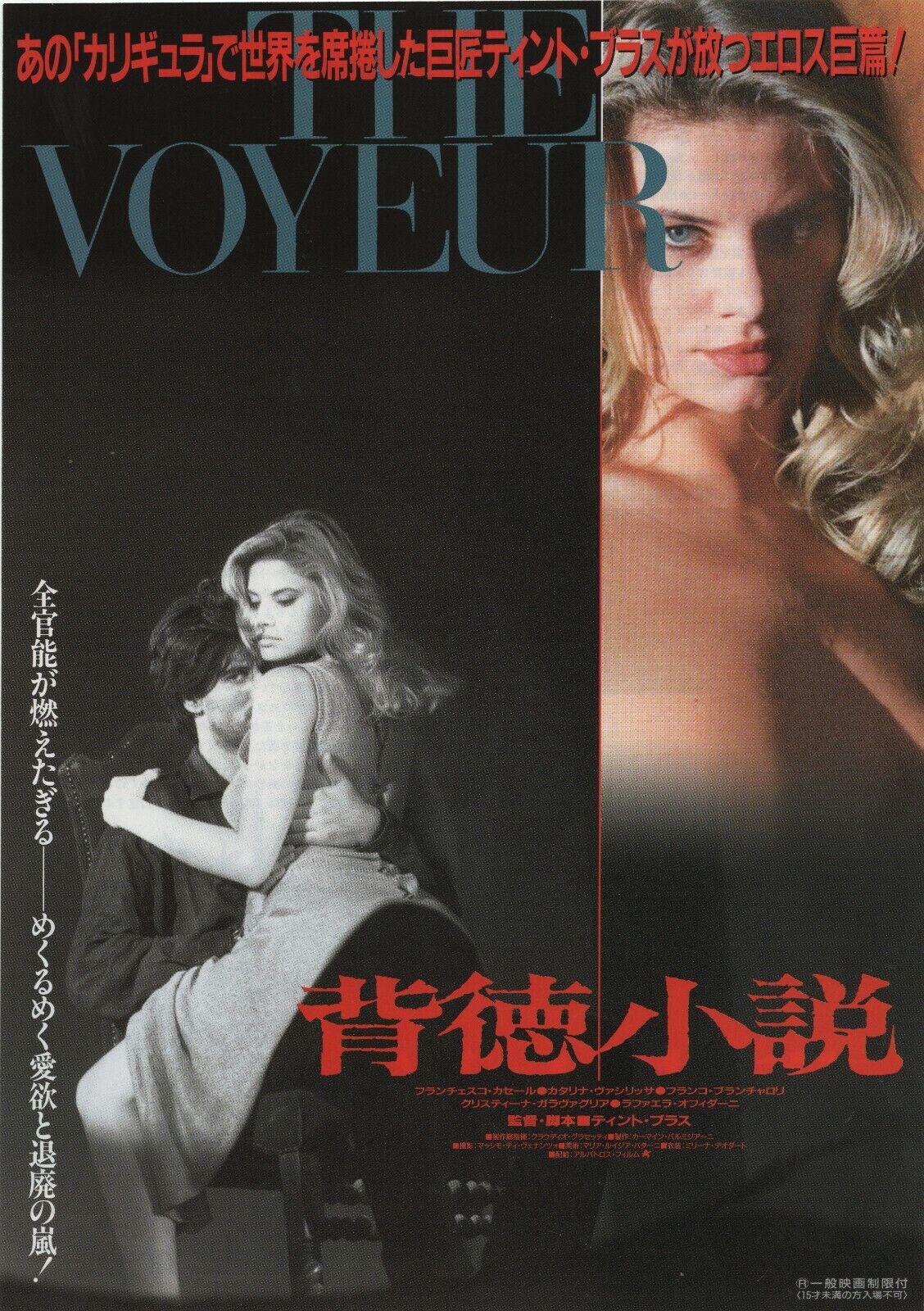 Best of The voyeur 1994