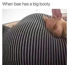 Best of Big butt meme