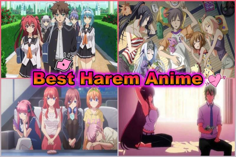 danny berryhill add photo top ten harem anime