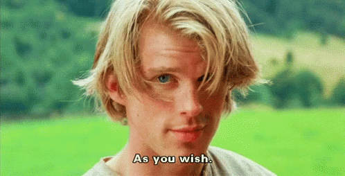 your wish is my command gif