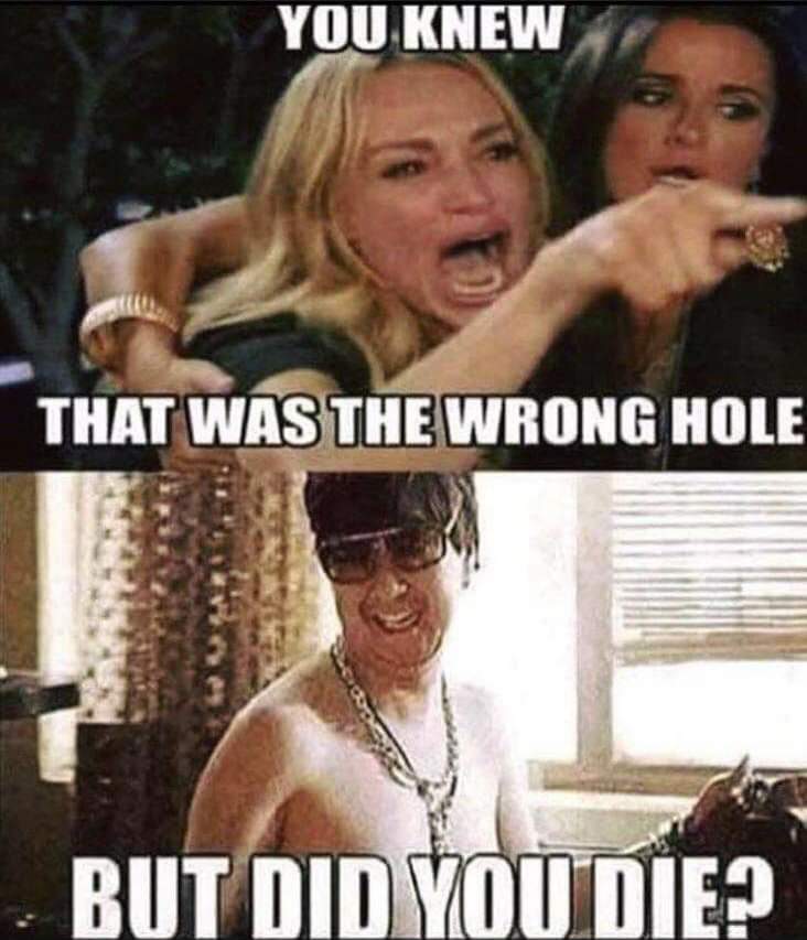 andrea nathan recommends Wrong Hole Meme