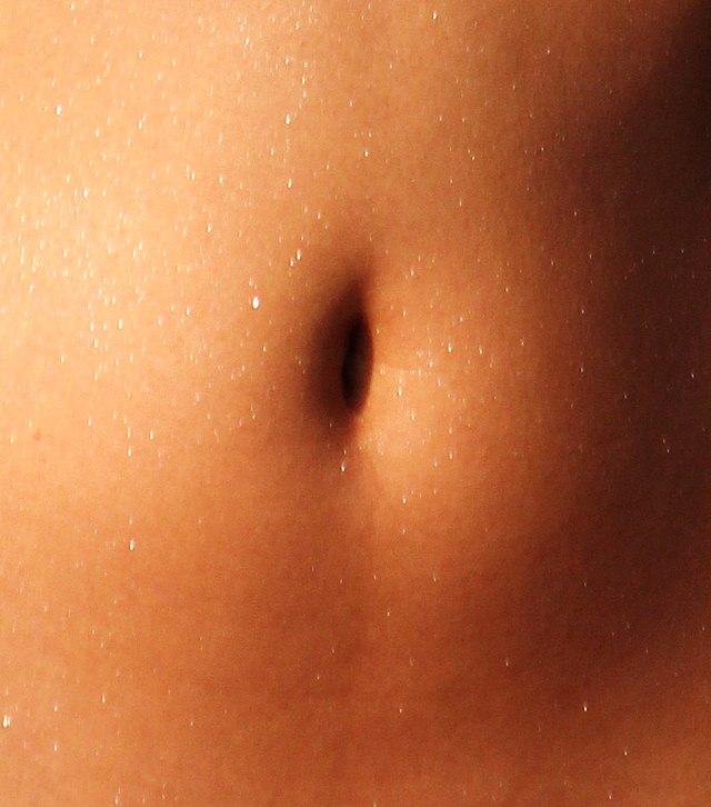 cathy hatfield recommends male belly button play pic