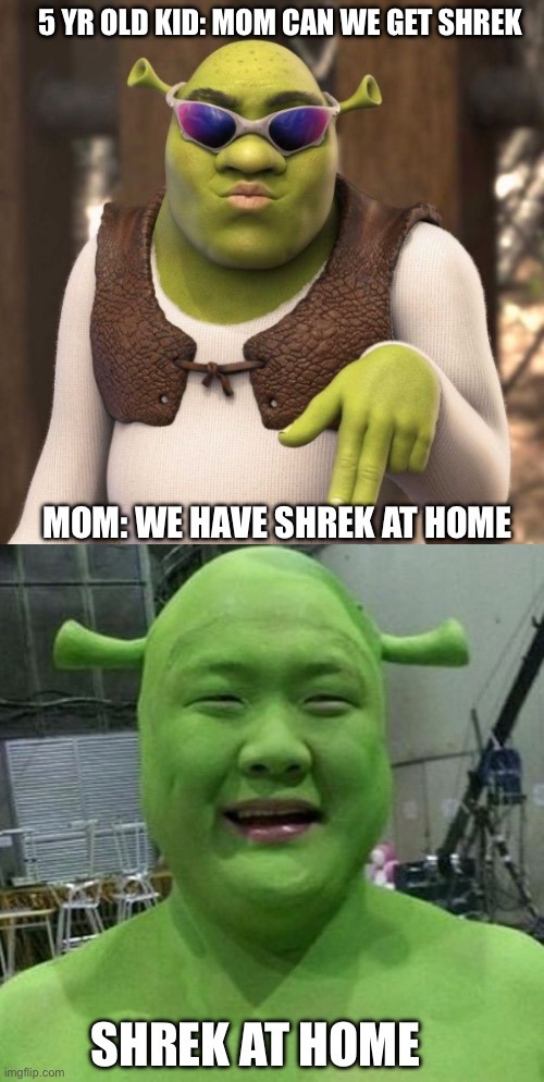 collin hadley share shrek is love meme photos