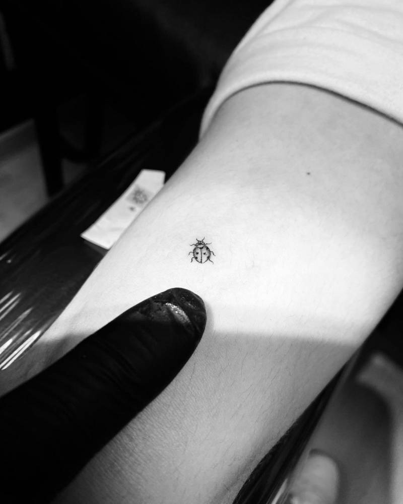 branislav milenkovic add photo ladybug tattoo black and white