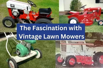 cheryl bose recommends vintage lawn mowers for sale pic