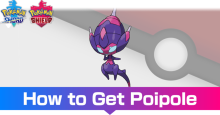 candy vazquez recommends poipole pokemon sword pic