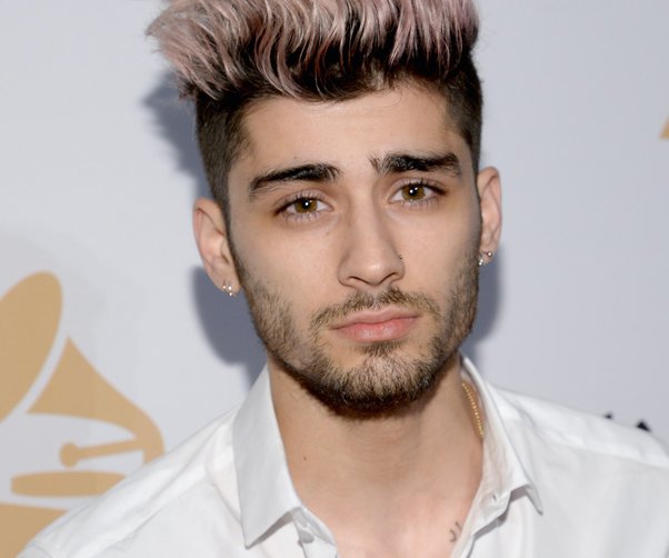 ben swieringa share zayn malik blowjob photos