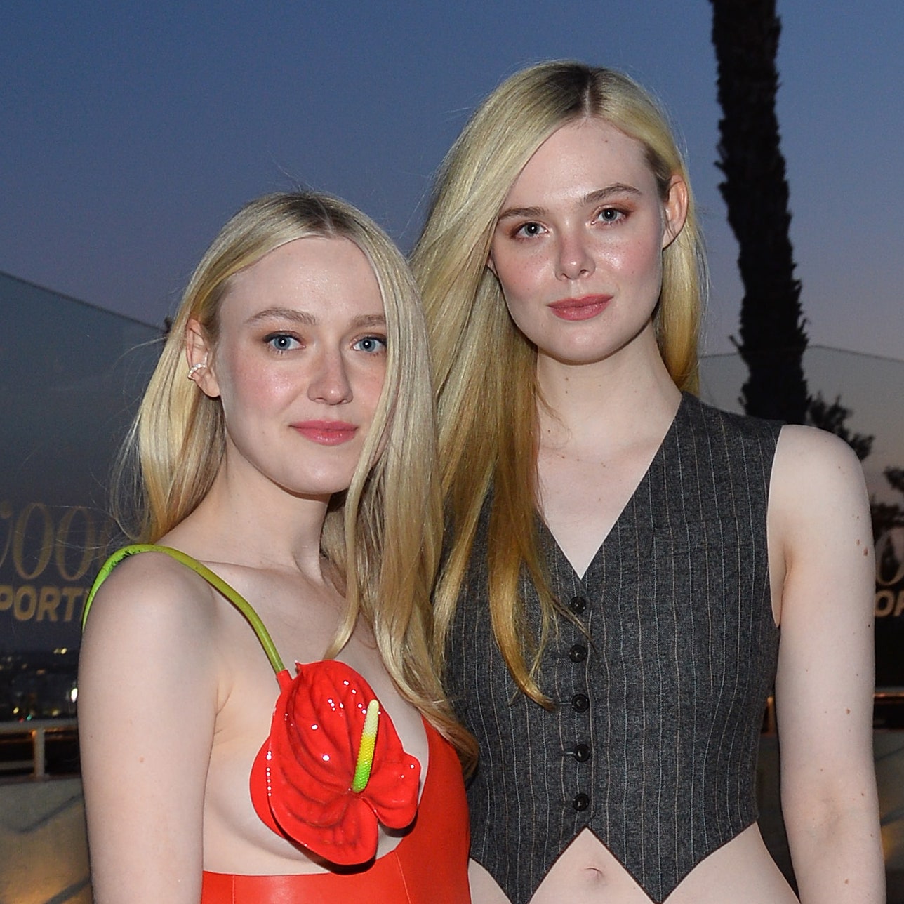 charm campo recommends Dakota Fanning Sexy Pic