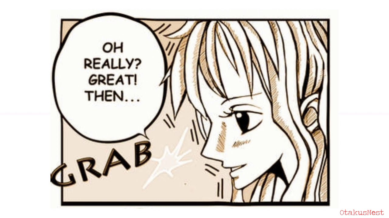 don k kong recommends luffy and nami doujinshi pic