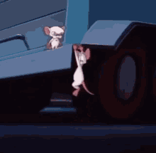 pinky and the brain gif