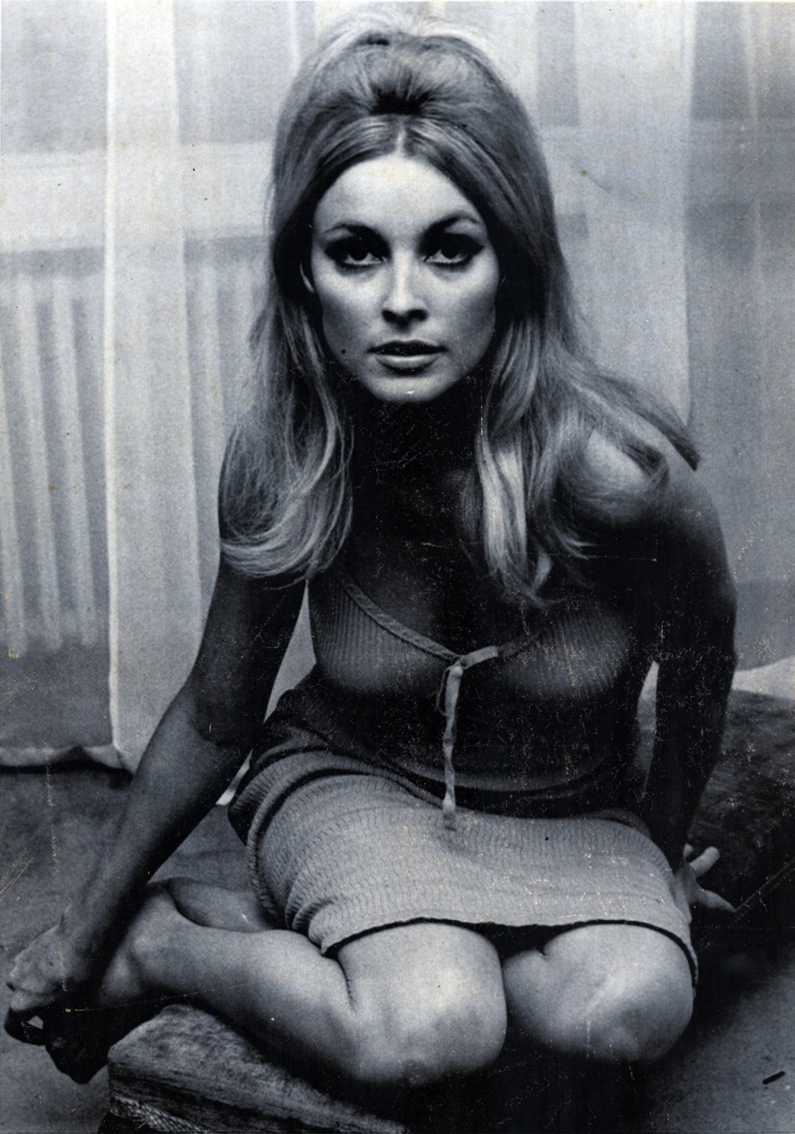 arvin jo add sharon tate porn photo