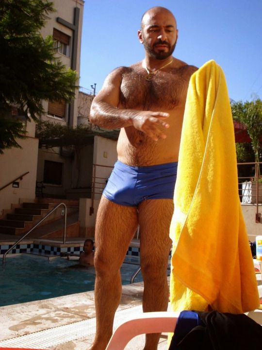 abhrajit sen recommends big hairy bears tumblr pic