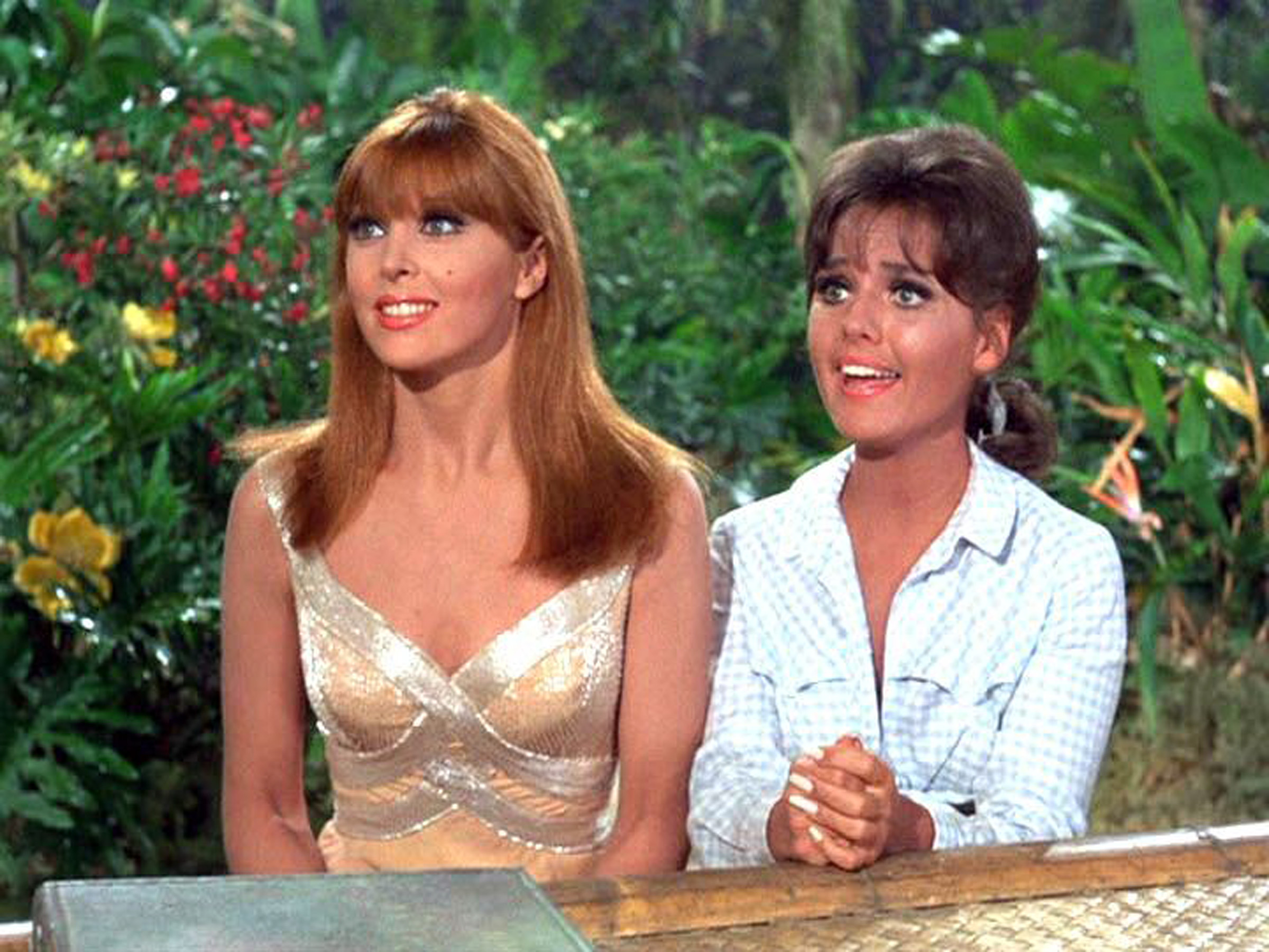 alison spears recommends Dawn Wells Bra Size