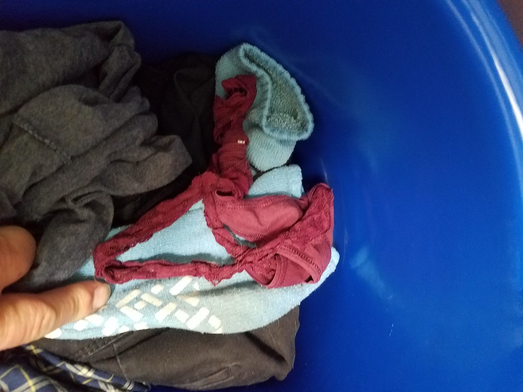 alison atherton recommends panties in the hamper pic
