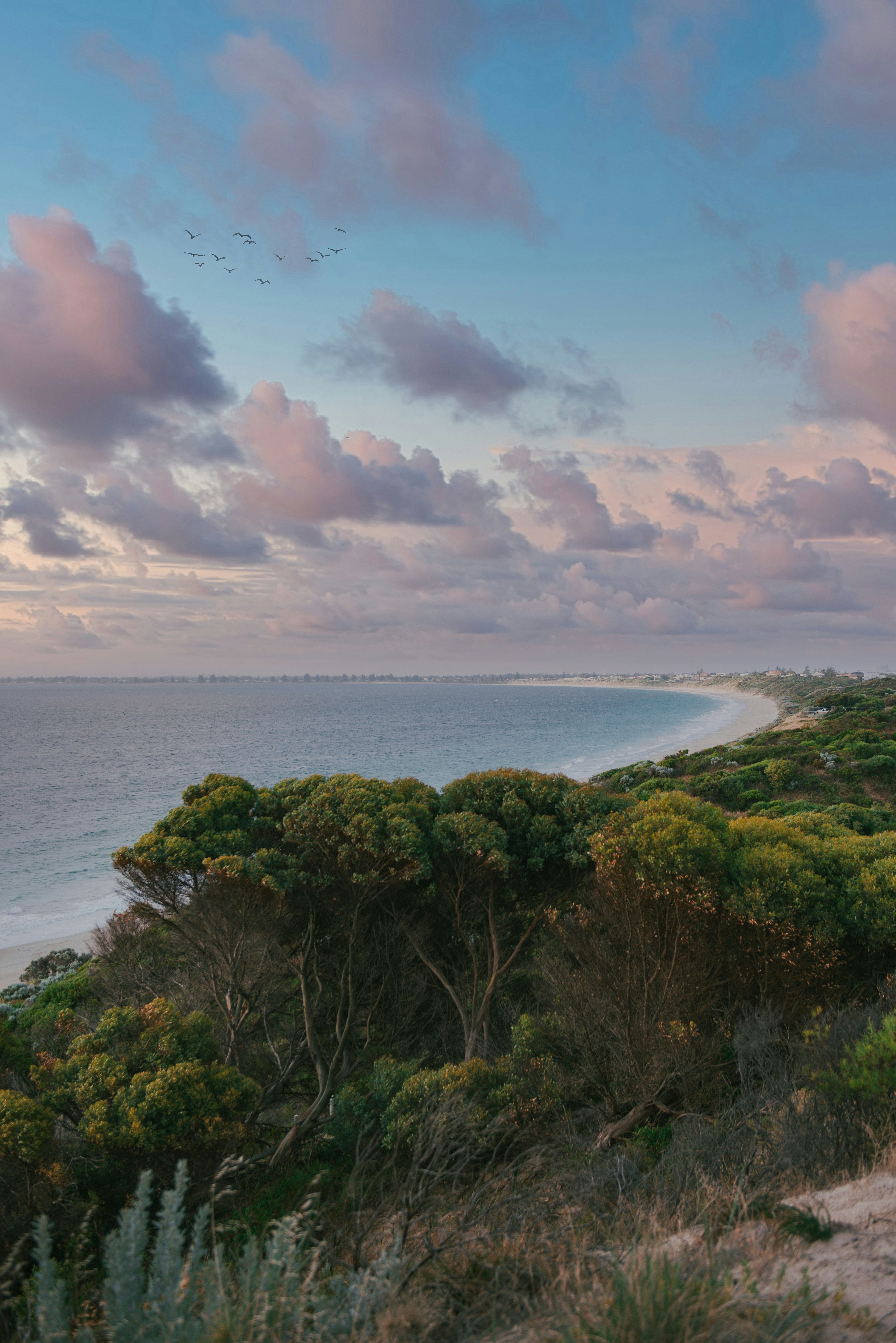 bill tevlin recommends beach bush tumblr pic