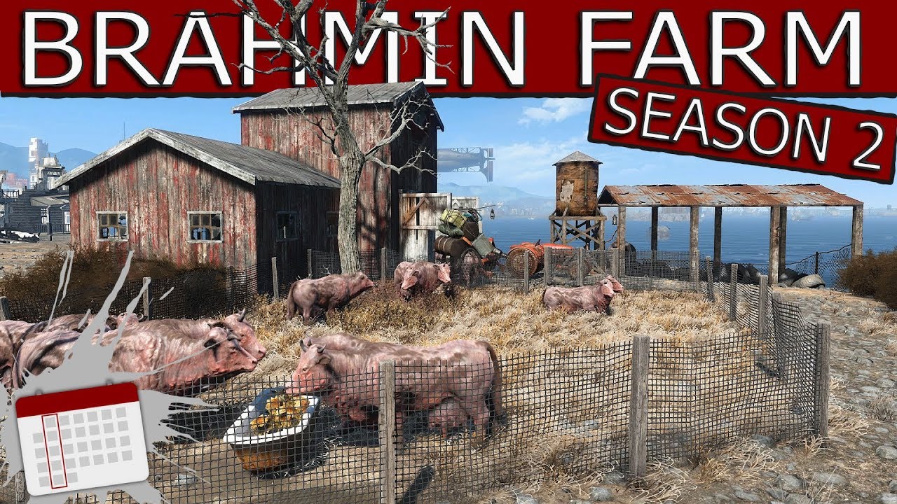 dennis coombs recommends Brahmin Fallout 4