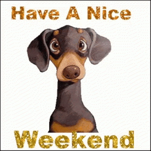 donald mosby recommends Have A Great Weekend Gif Funny
