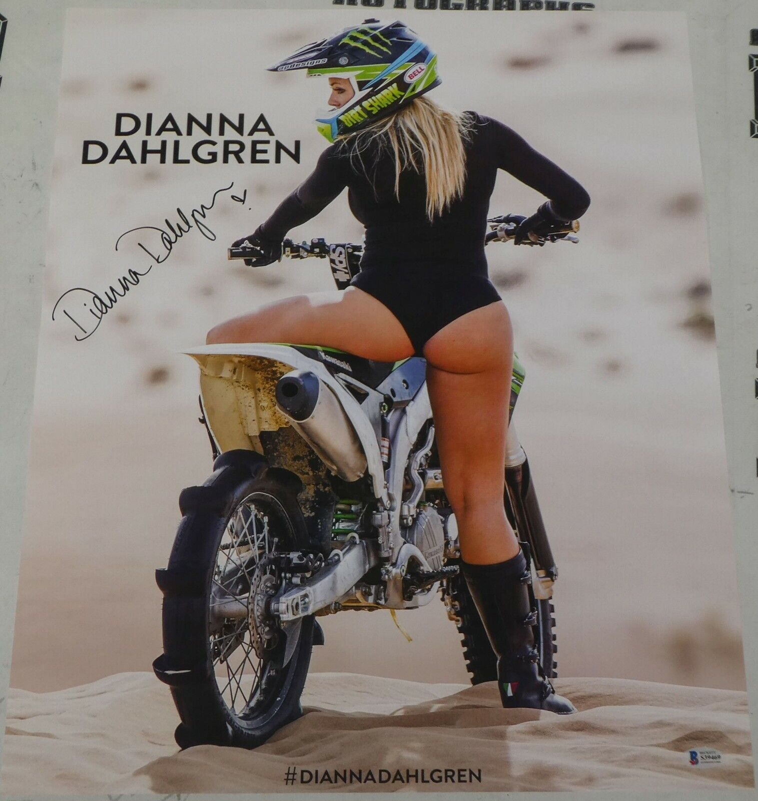 Dianna Dahlgren Bio positions explored