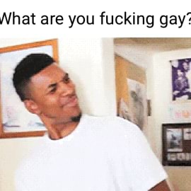 what are you fuckin gay?