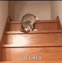 adela cortez recommends so tired gif pic