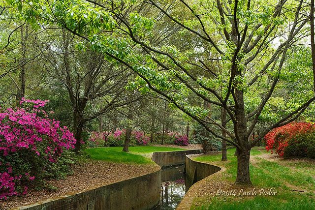 benjamin barba recommends Backpage Summerville South Carolina