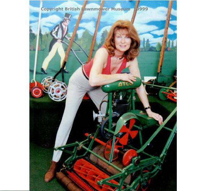 Vintage Lawn Mowers For Sale bledel nude