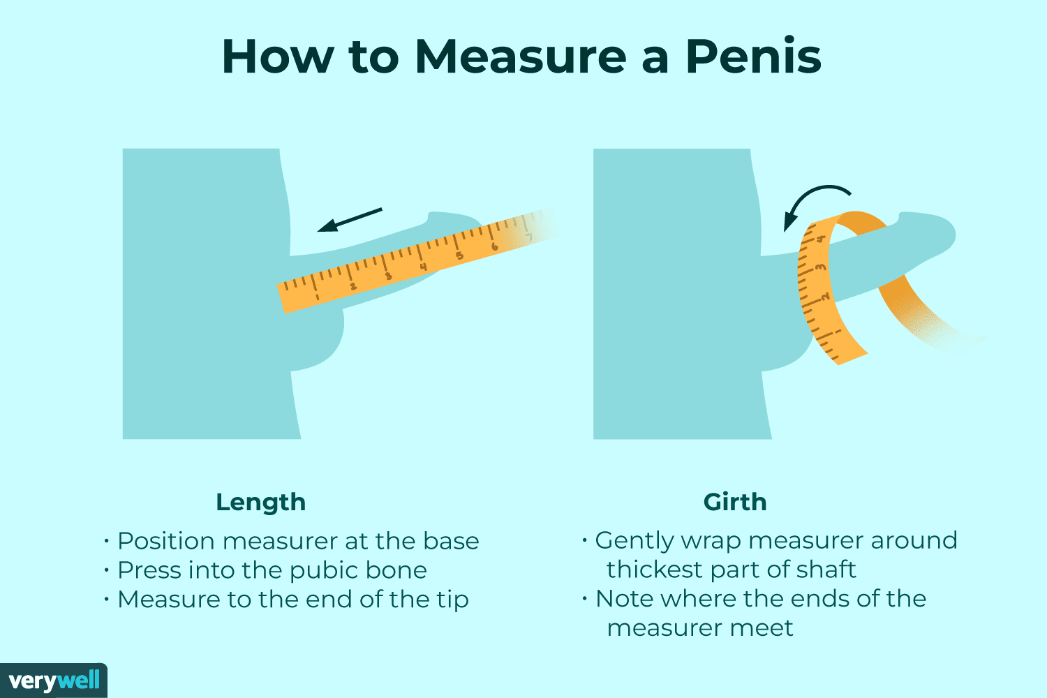 christine m tran recommends 7 inch circumference penis pic