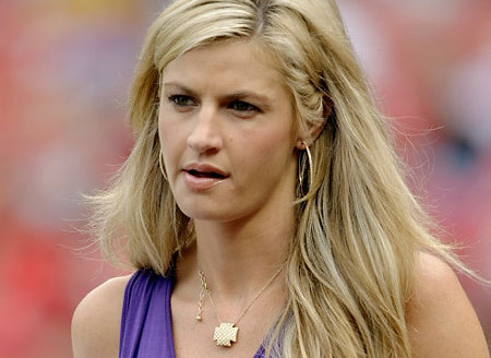 alycia pitts recommends erin andrews naked peephole pic