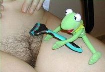 christa ernst recommends Kermit The Frog Porn