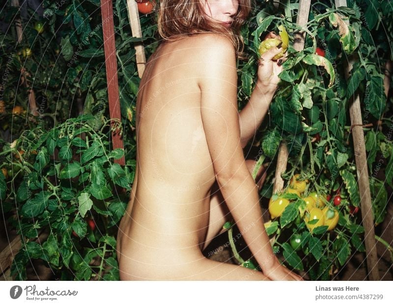 andrea merchant add photo naked girls just girls