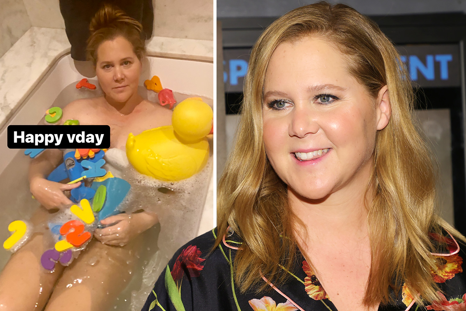 caroline penders recommends amy schumer nip slip pic