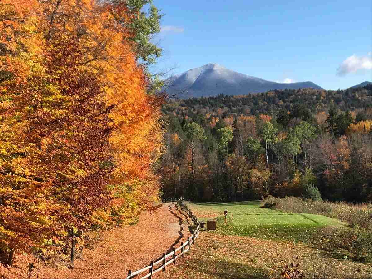 anitha rajmohan recommends Autumn Falls In Elevator