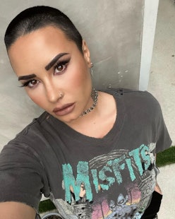 ann marie elliott recommends demi lovato nipple pic